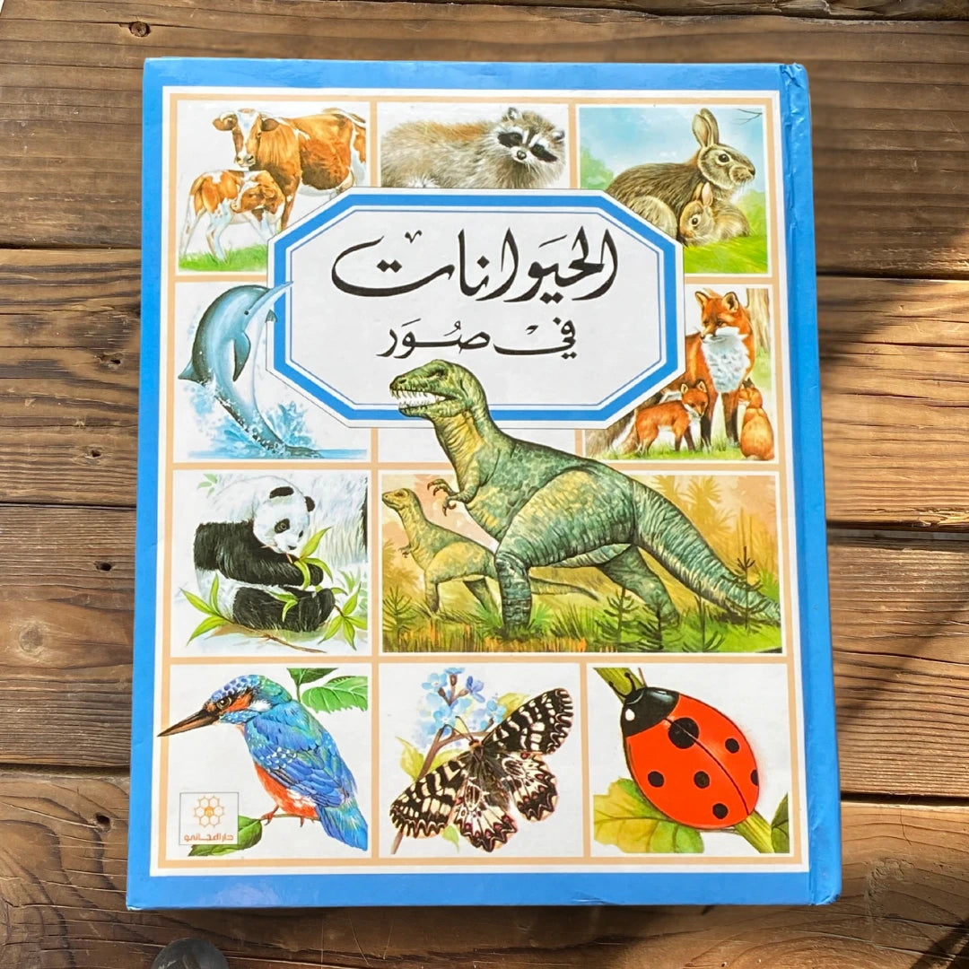 باقة الذكاء ثنائية اللغة - Pack d’intelligence bilingue