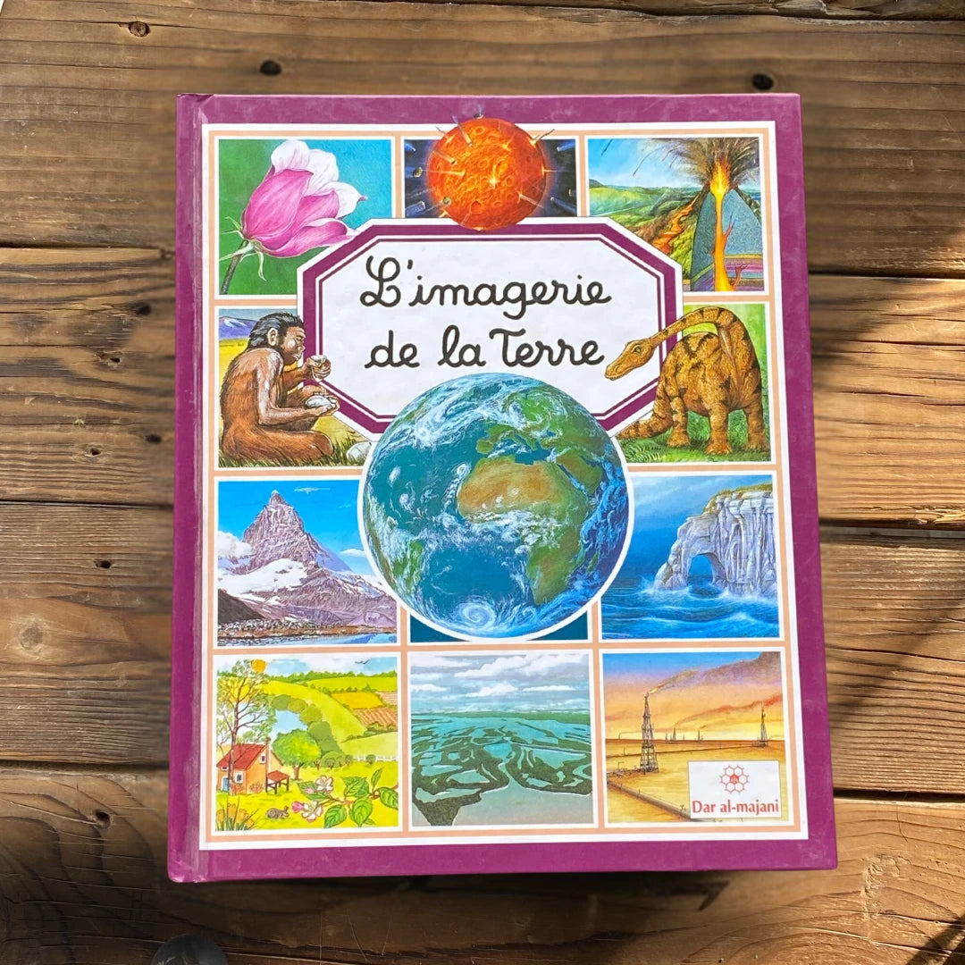 باقة الذكاء ثنائية اللغة - Pack d’intelligence bilingue
